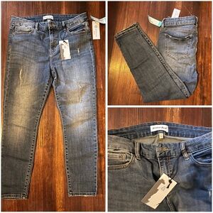 Studio Blue Jeans - Stitch Fix- NWT 31